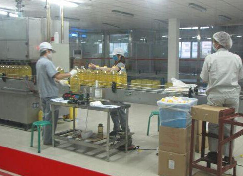 olive oil filling machine,oil filling machine,vegetable oil filling machine